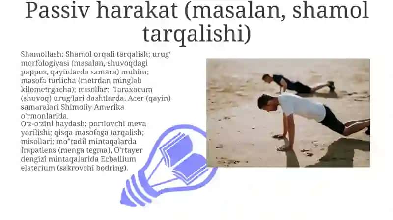 Asosiy Harakat Turlari 3