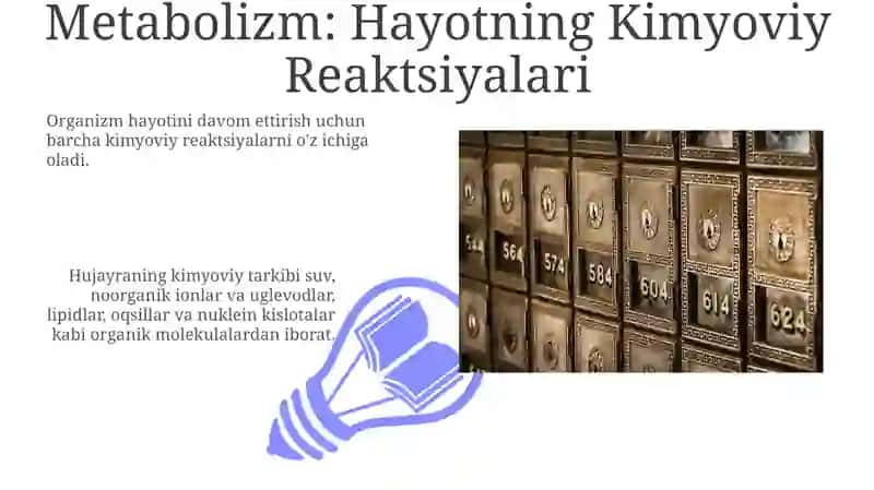 Hujayraning kimyoviy tarkibi 3