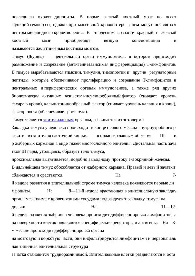Органы гемопоэза и иммуногенеза 3