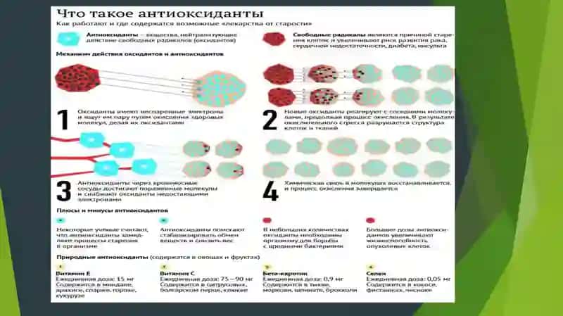 Antioksidantlar, ularning klinikada qo‘llanilishi 3