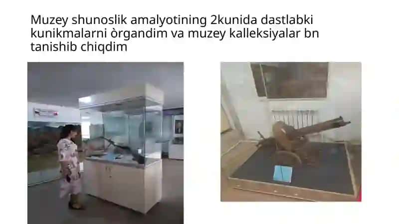 Muzeyshunoslik amalyoti 3