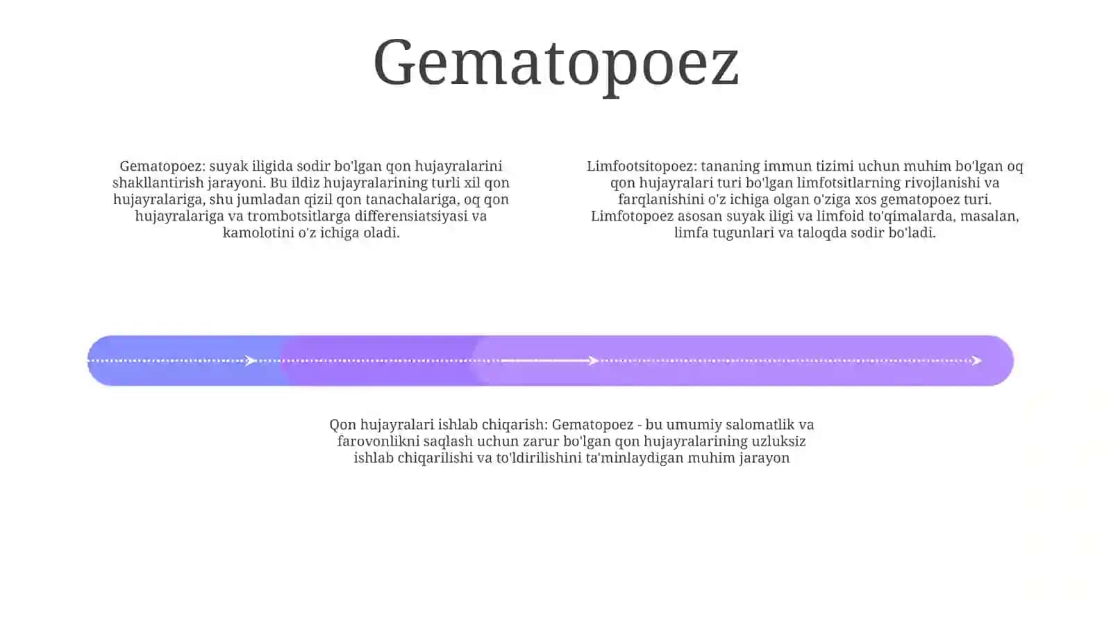 Limfotsitopoez 3