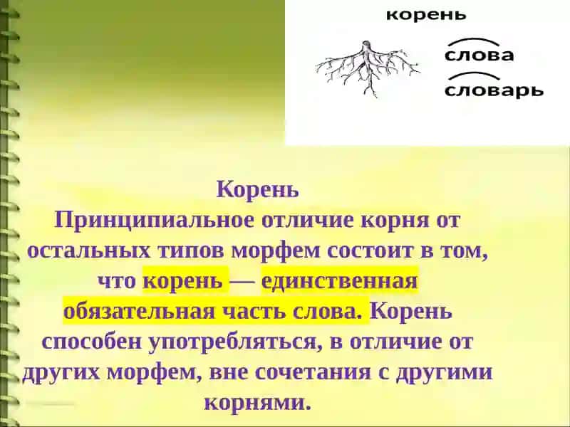 Состав слова. Способы образования слов 3