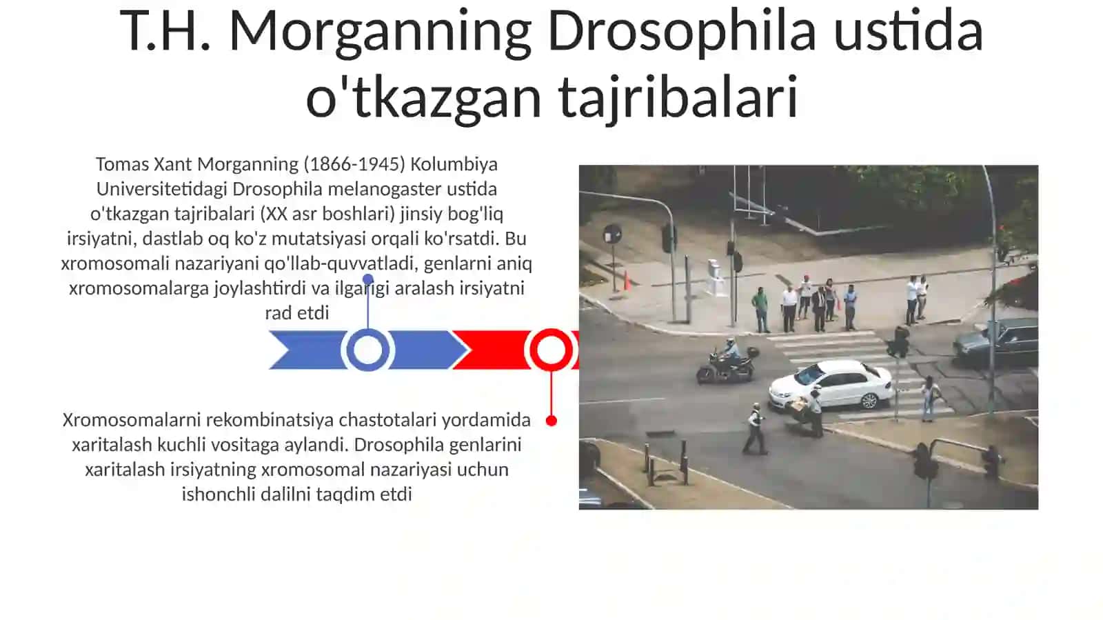 Xromosomalar Nazariyasi 3