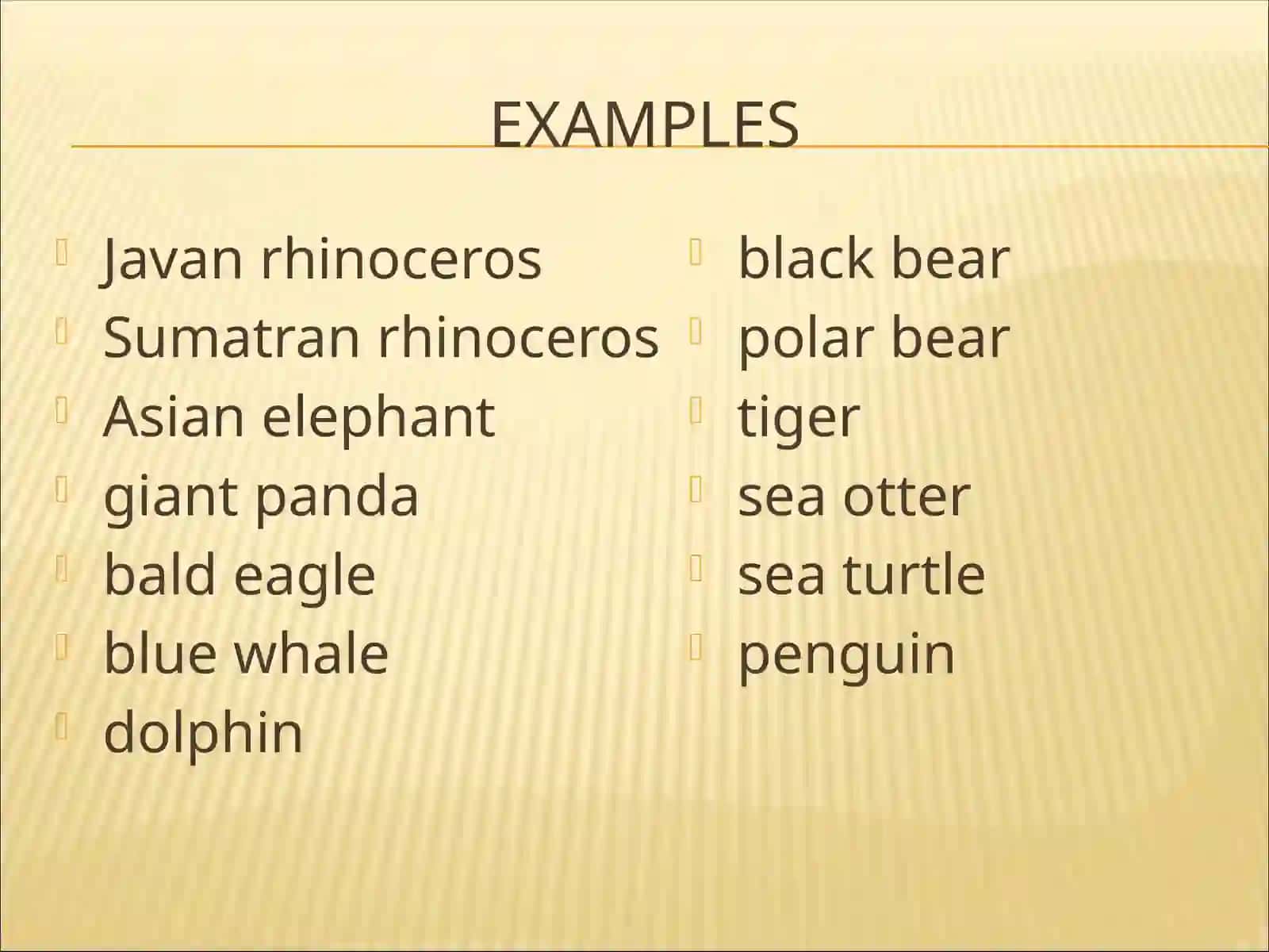 Endangered Animals 3