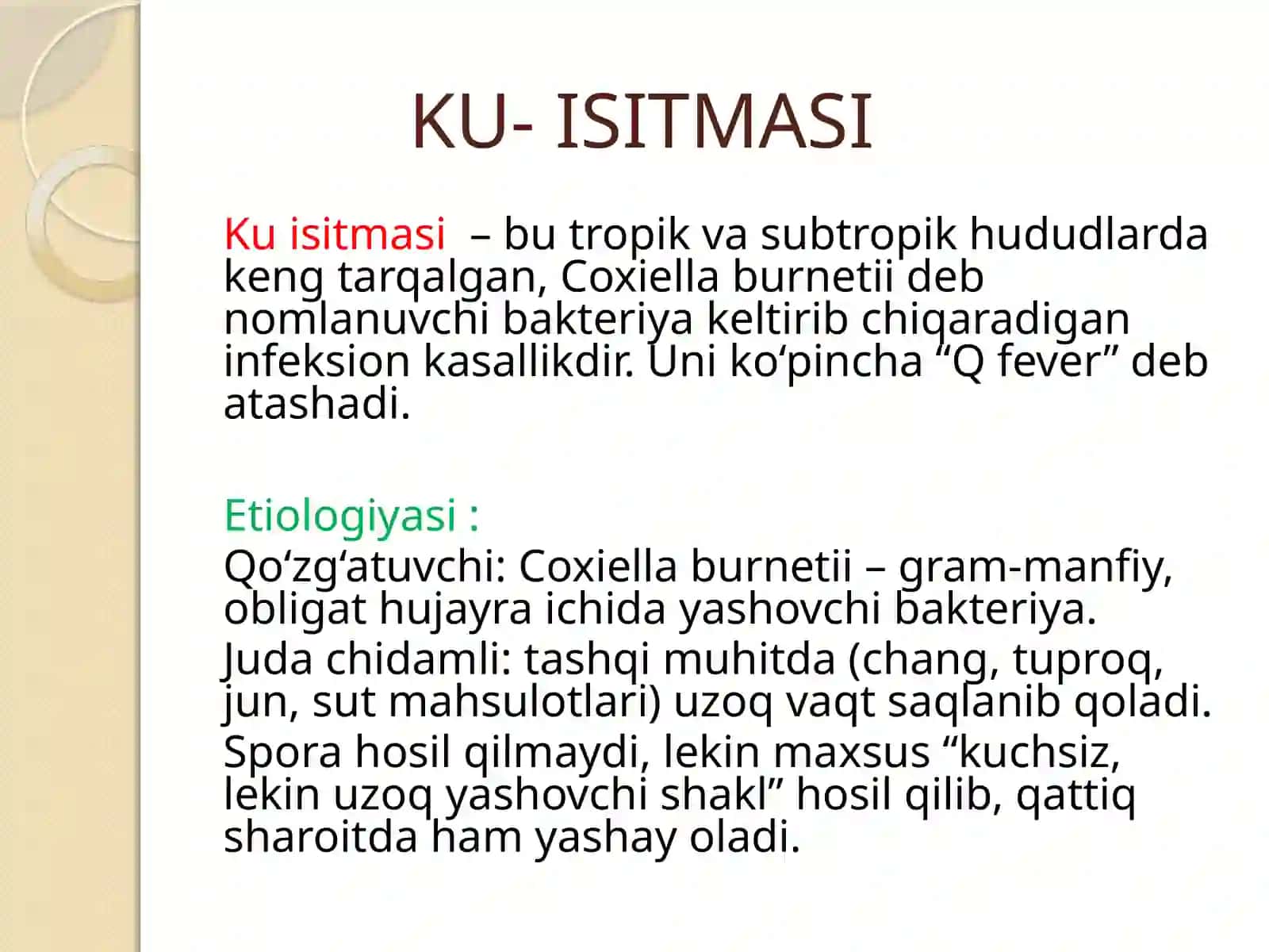 Q isitmasi 3