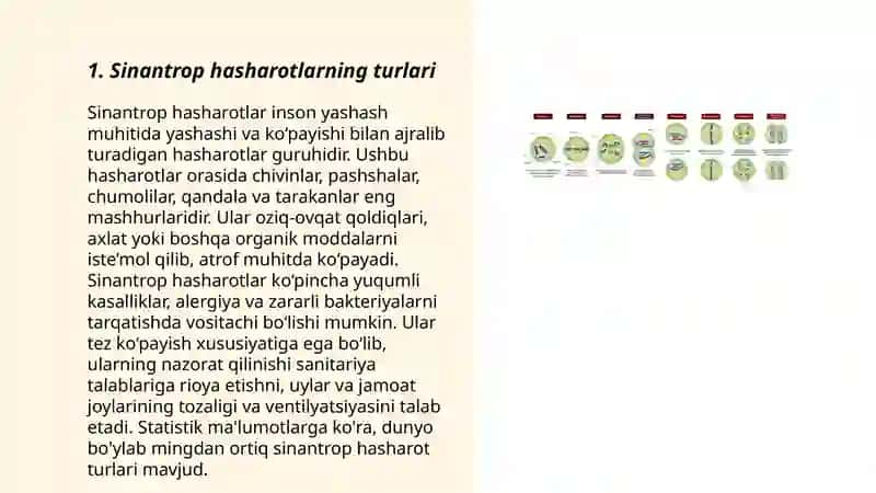 Sinantrop hasharotlar 3