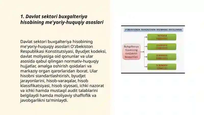 Davlat sektori bugalteriya hisobini tashkil etish va yuritish 3