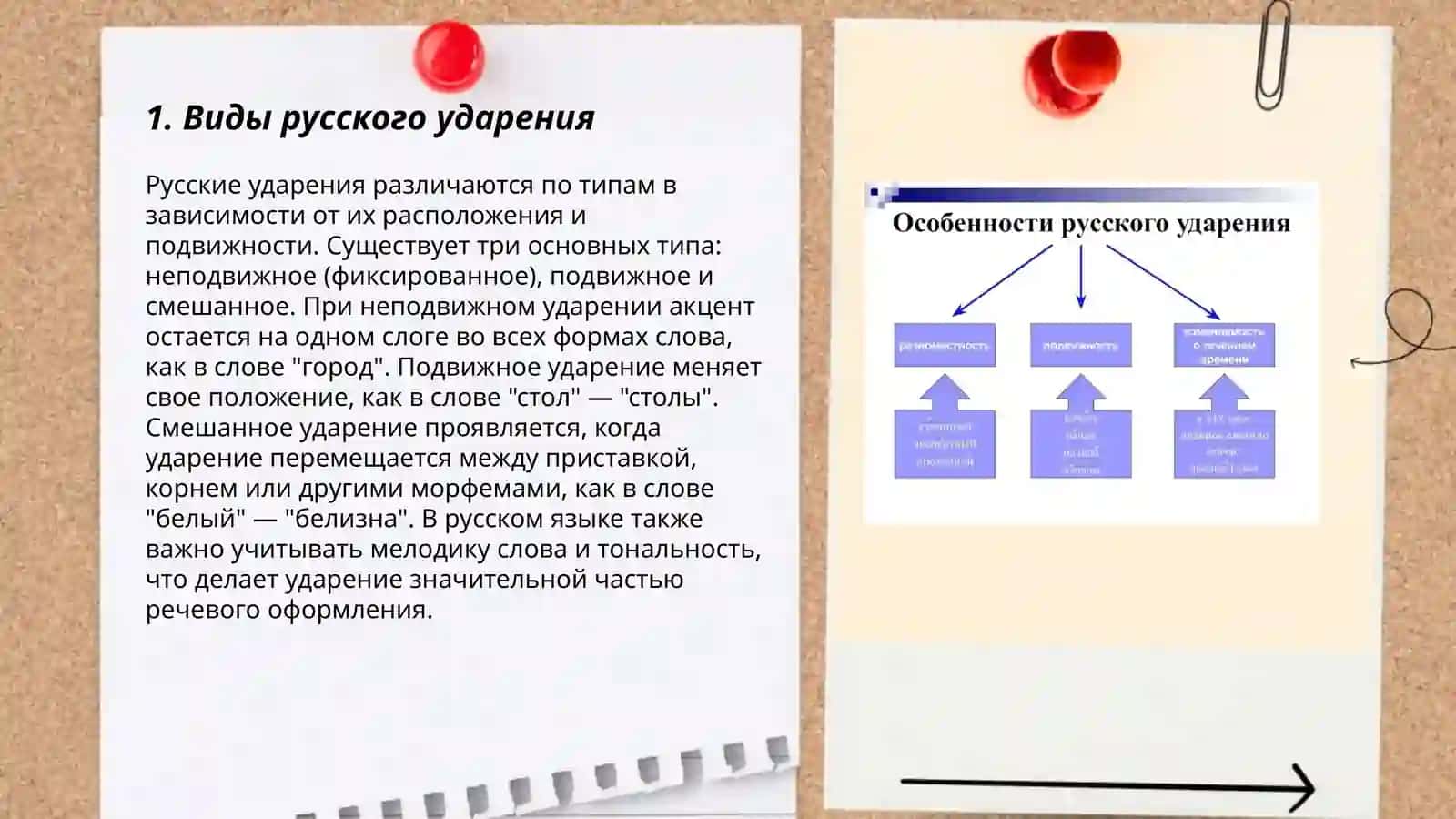 Виды русского ударения 3