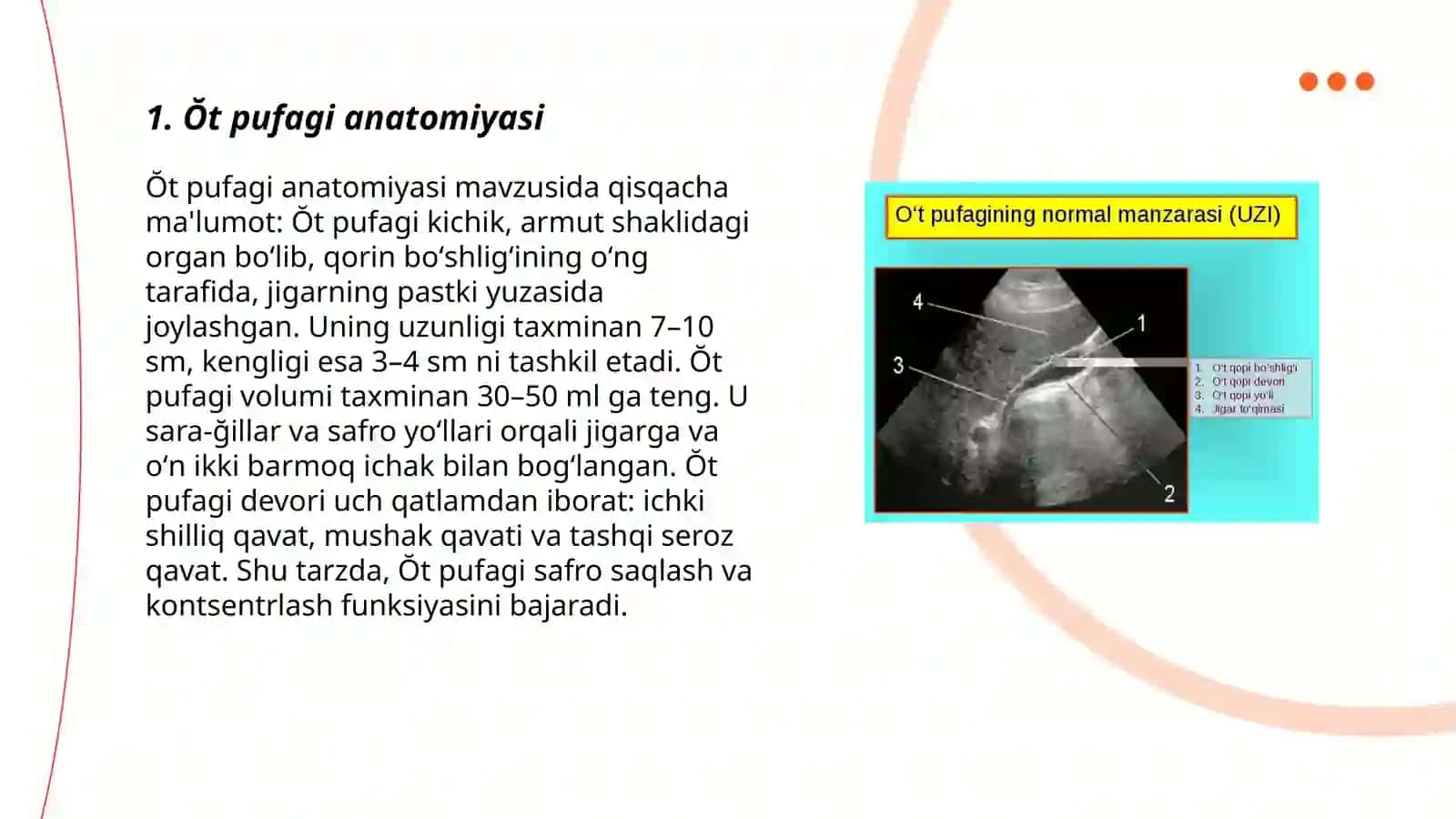 Ŏt pufagi anatomiyasi 3