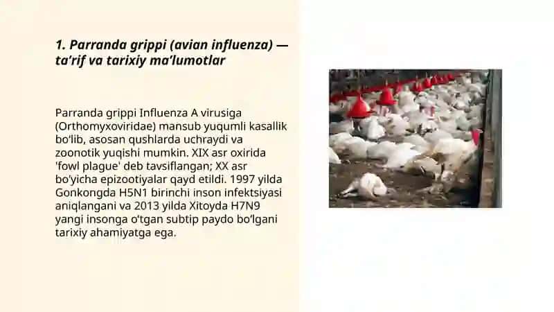 Insonlarda kuzatiladigan parranda grippi 3