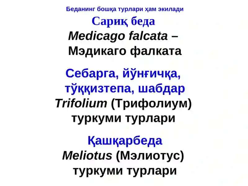Беда Касалликлари 3
