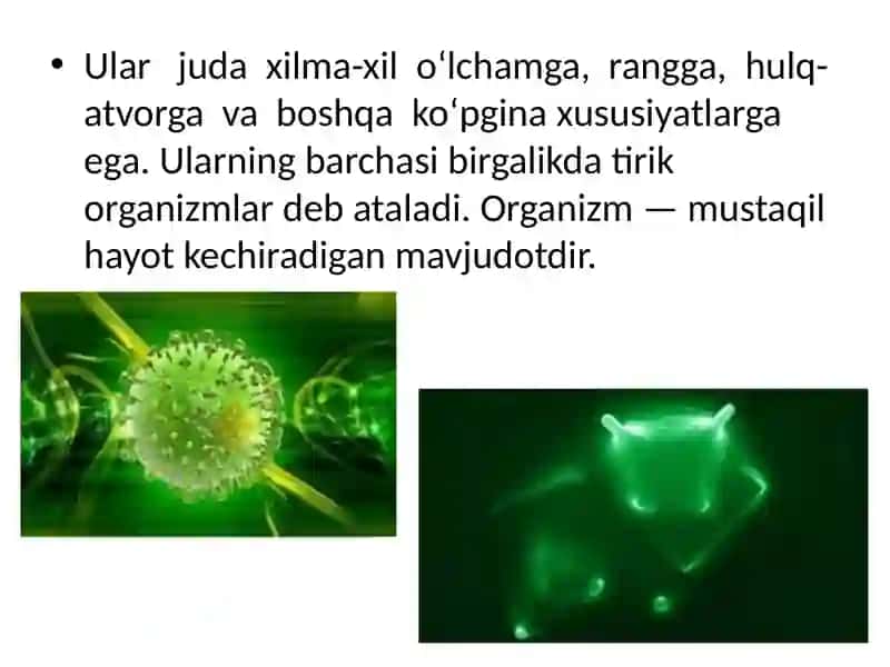Tirikorganizmlarning o‘zigaxos xususiyatlari 3