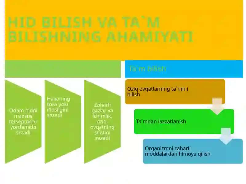 HID BILISH VA TA`M GANLARI 3