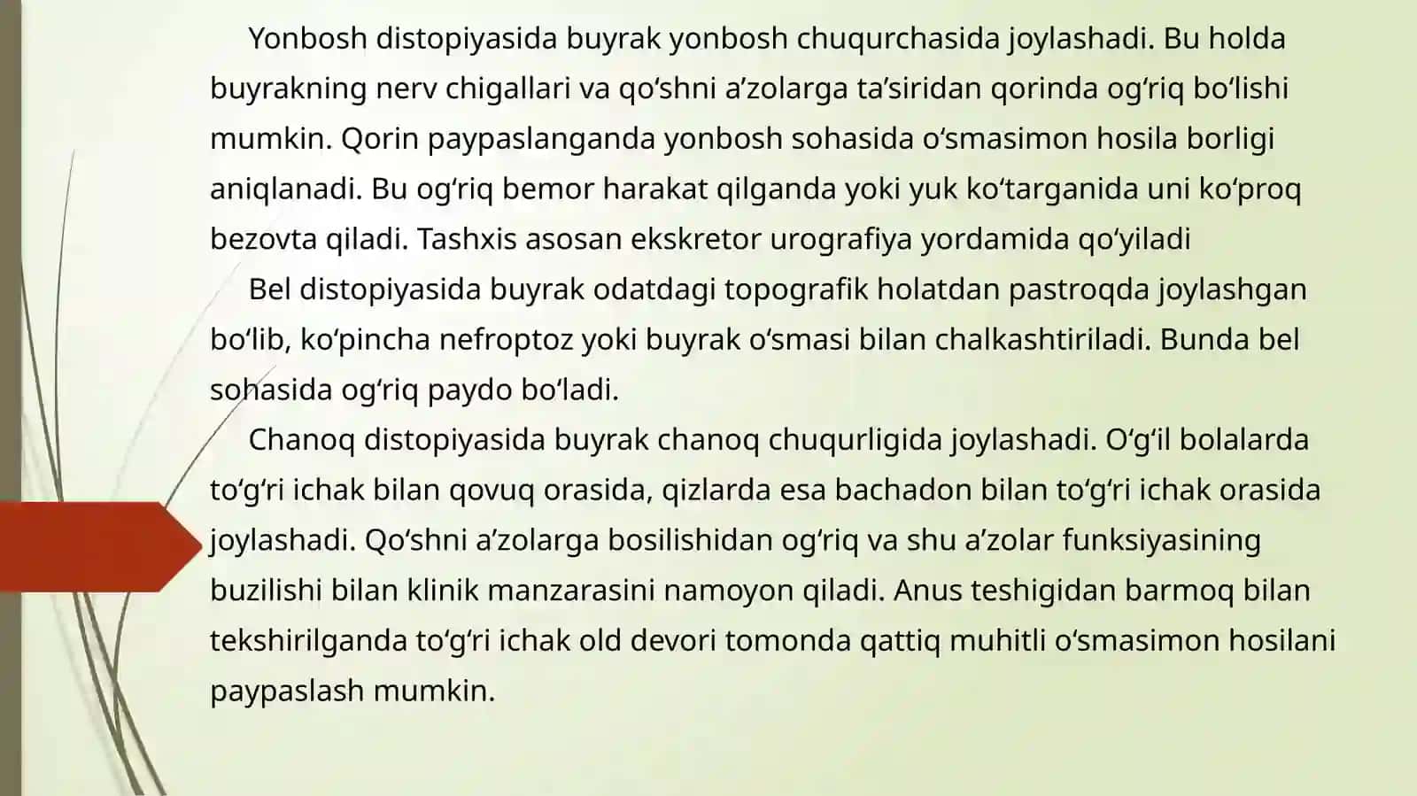 BUYRAKLARNING TUG’MA VA ORTTIRILGAN DISTOPIYASI 3