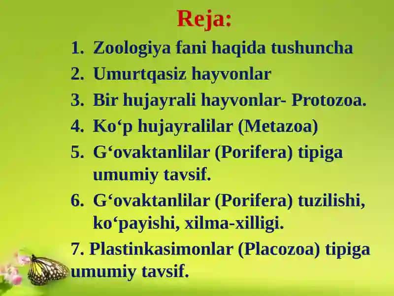 Zoologiya 1 3