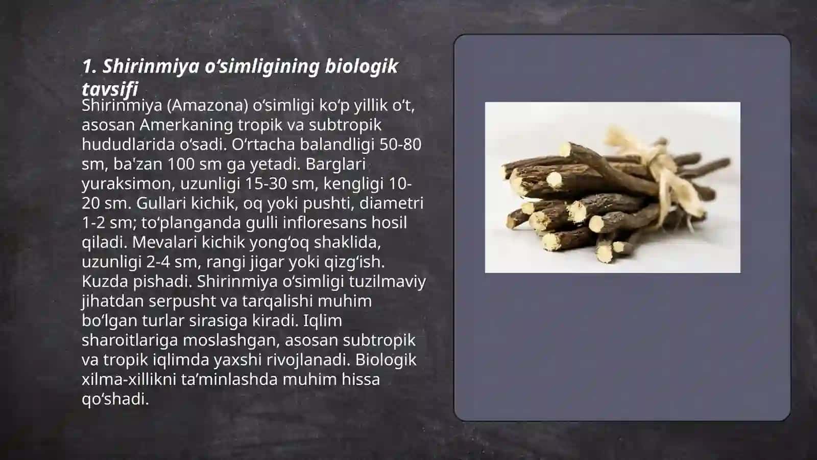 Shirinmiya o‘simligi 3