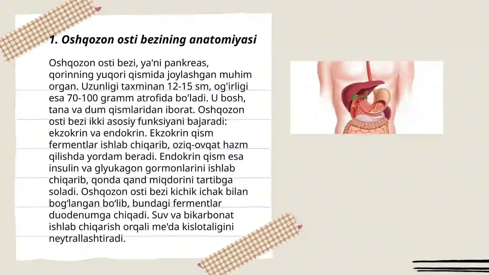 Oshqozon osti bezi 3