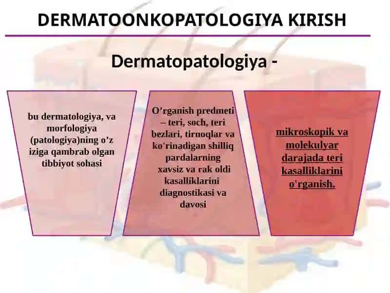 Dermatopatologiyagakirish 3