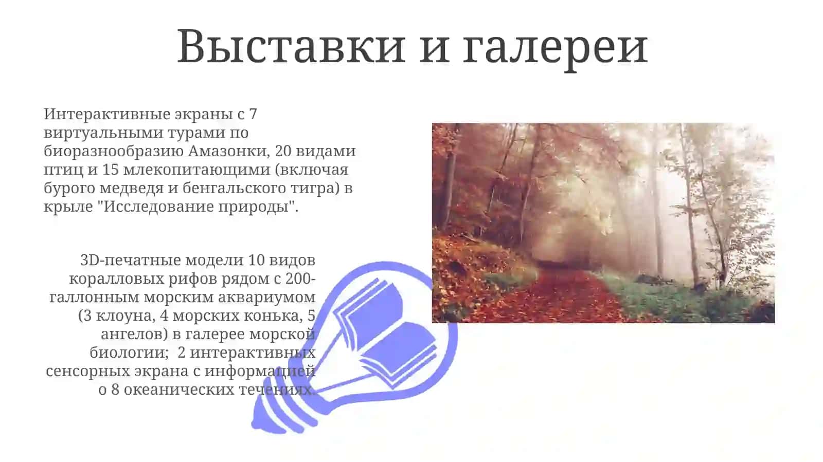 Выставки и программы 3