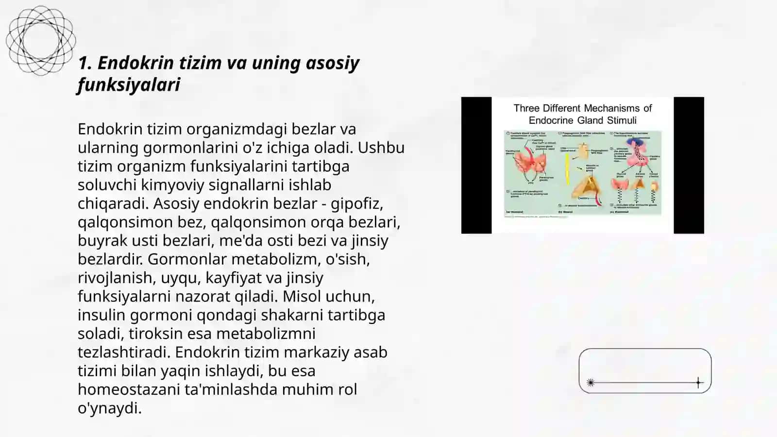 Endokrin tizimining yoshga oid fiziologiyasi va gigiyenasi 3