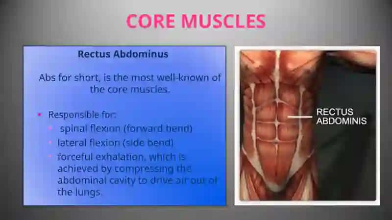 Structure of the core 3