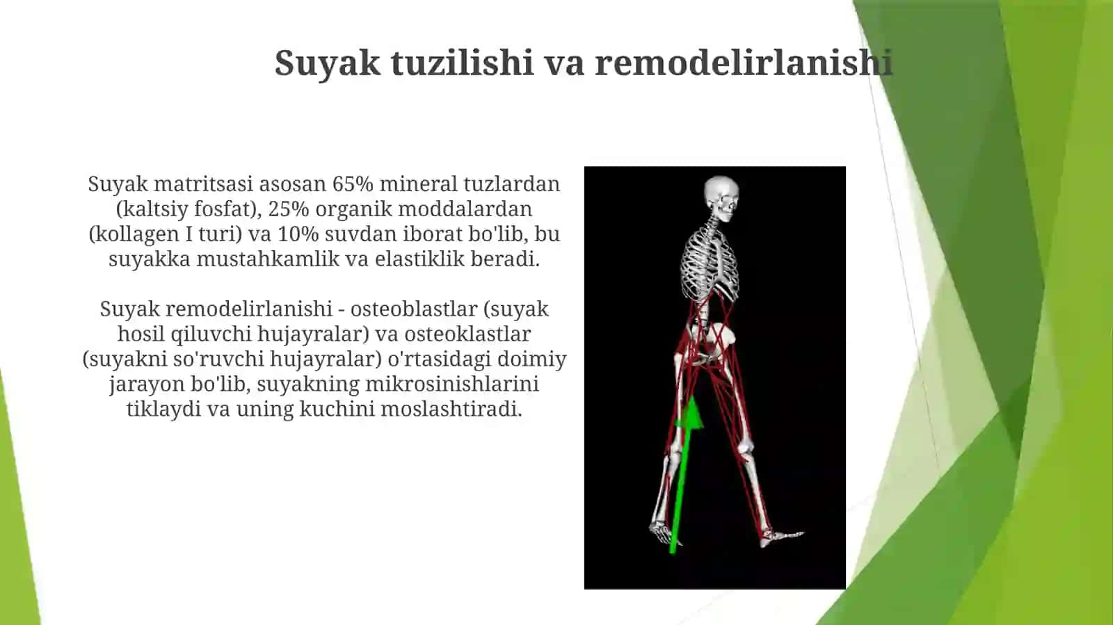 Mexanik harakatlarning suyaklarga ta'siri 3