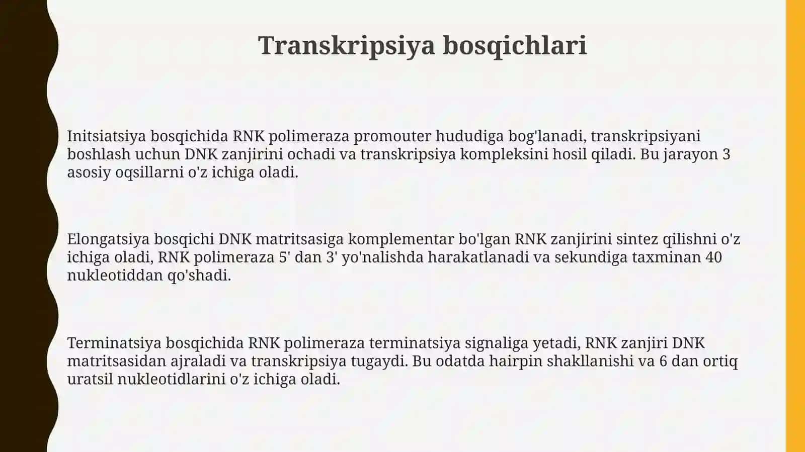 Transkripsiya,splaysing va protsessing 3