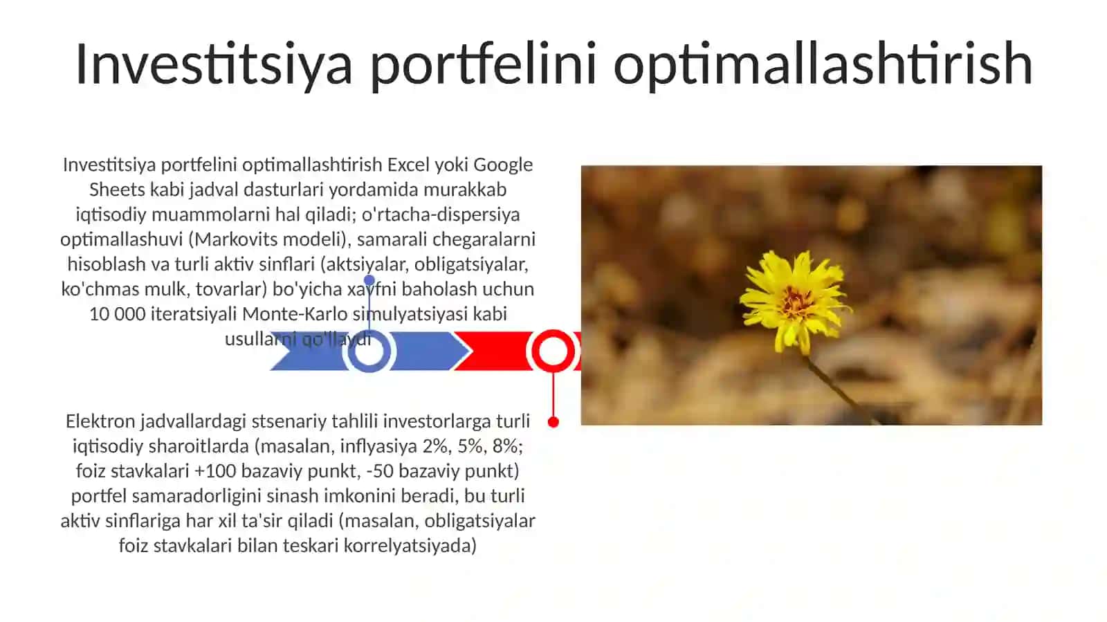 Investitsiya portfelini optimallashtirish 3