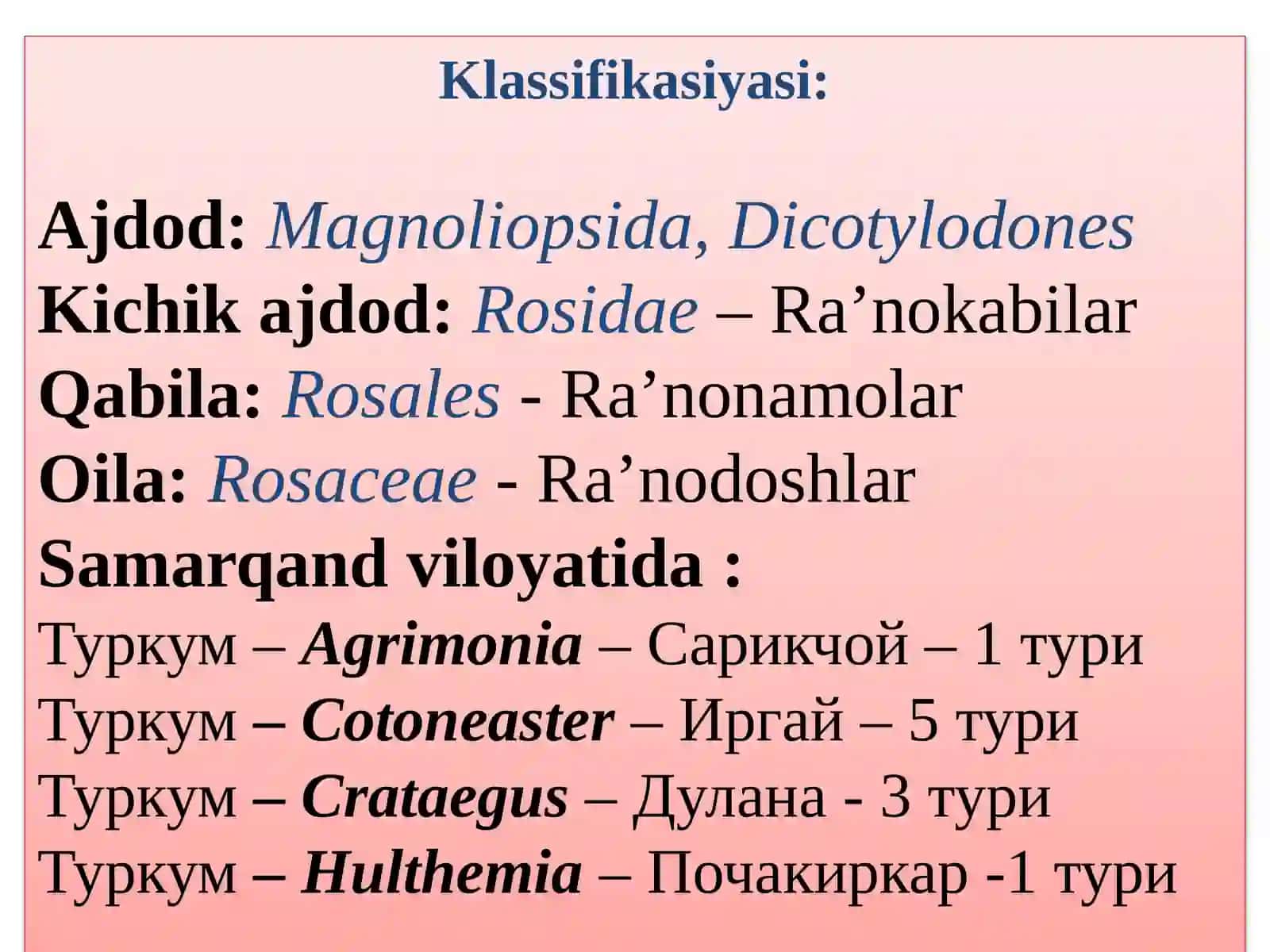 Ra`nodoshlar oilasi - Rosaceae 3