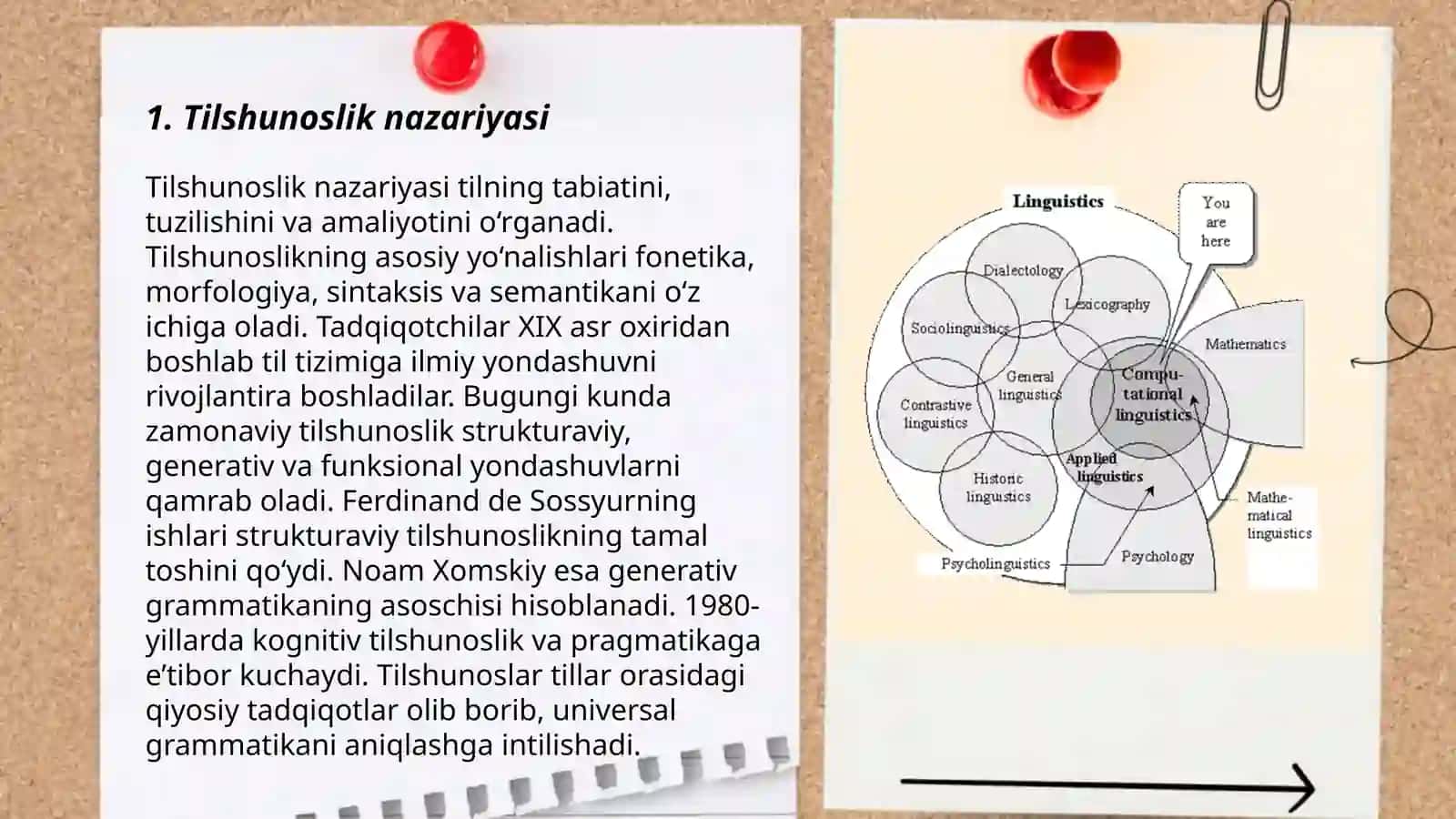 Tilshunoslik fani boʻlimlari 3