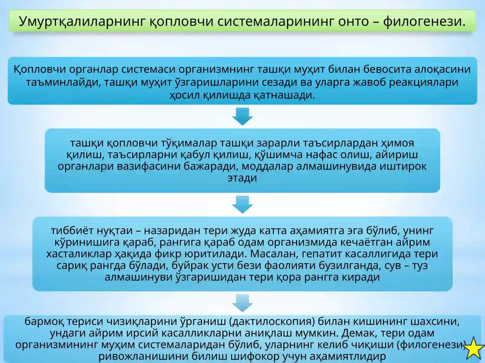 Онтофилогенезда одам органлар системасининг ривожланиши 3