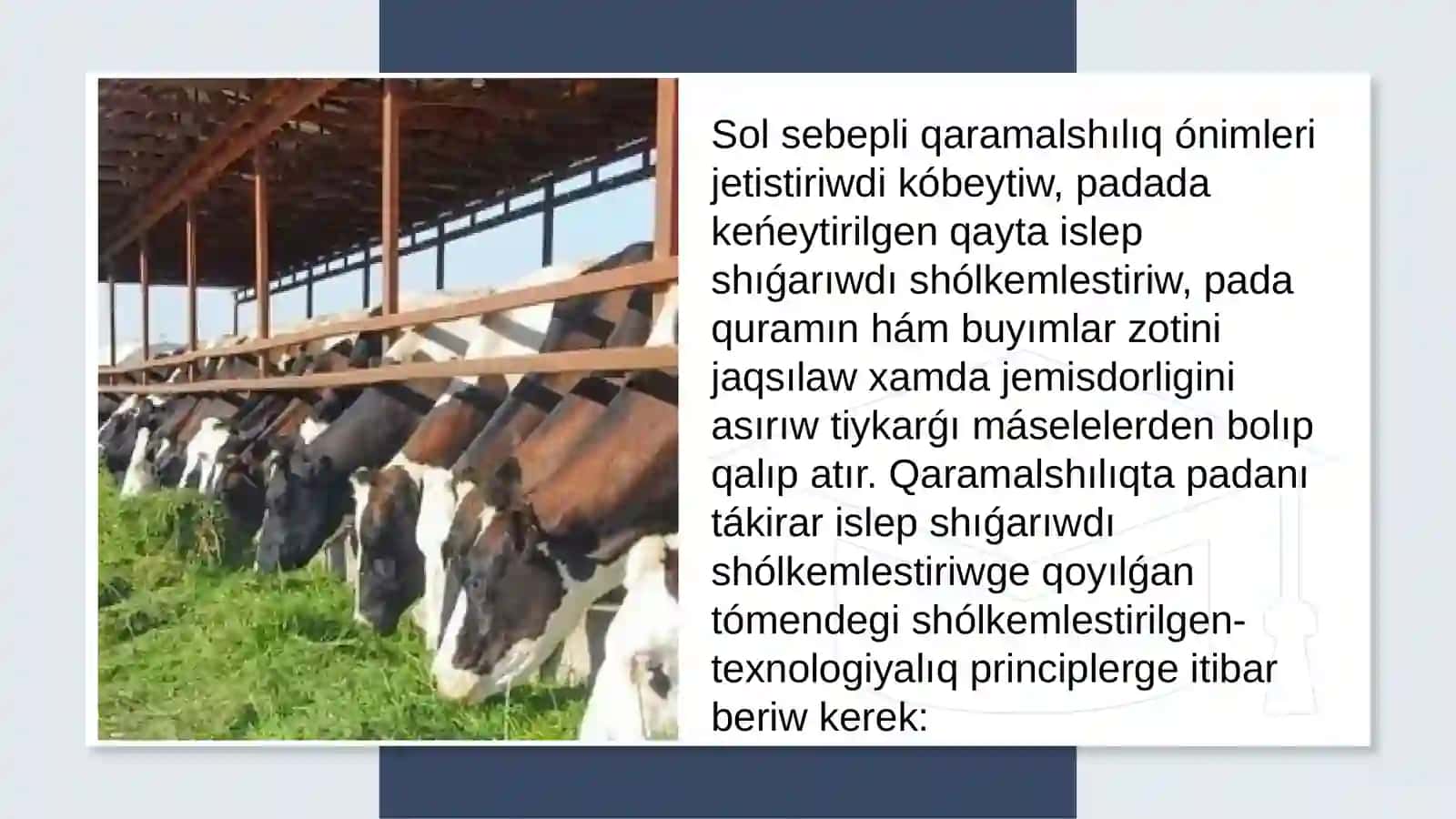 Qaramalshılıqtı shólkemlestiriw hám basqarıw 3