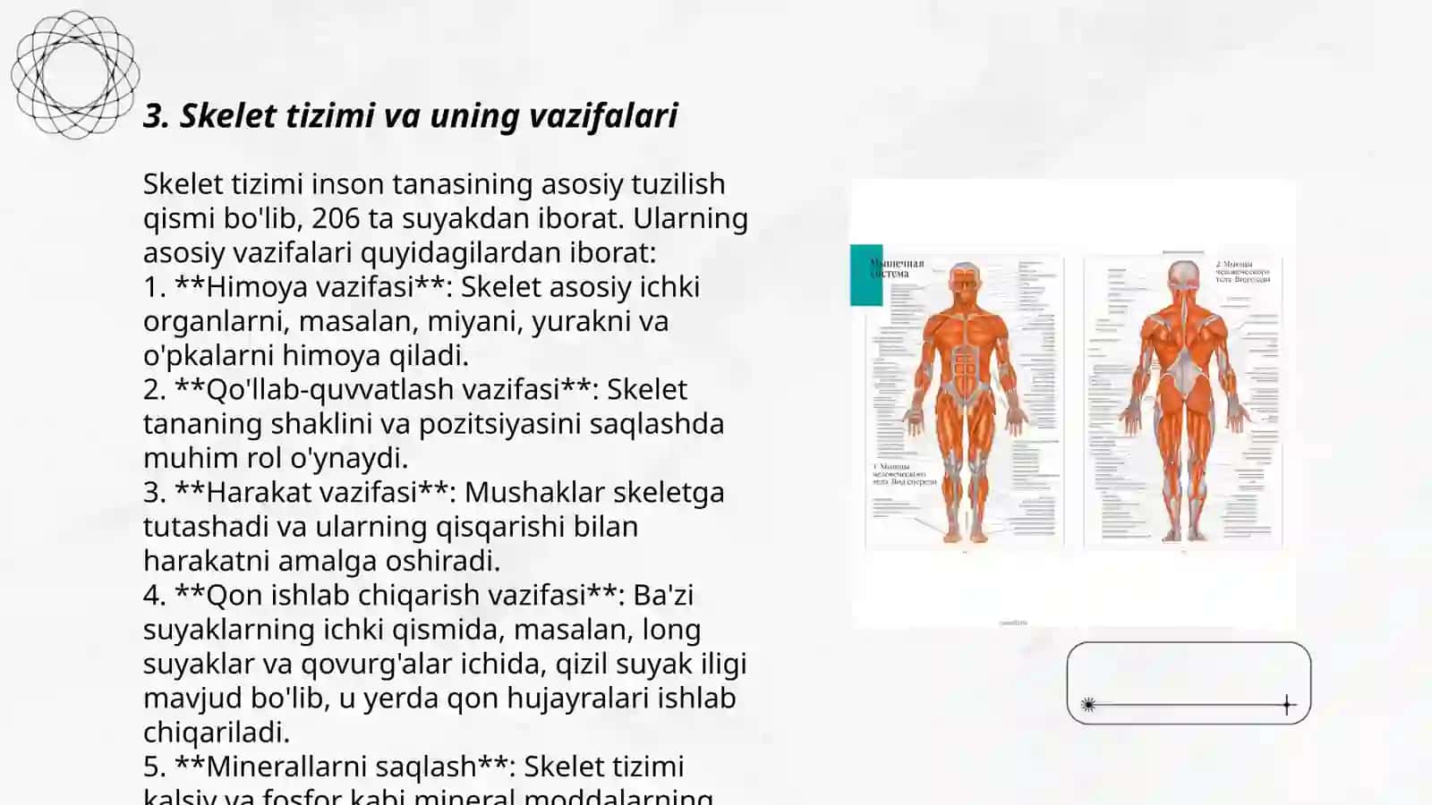 Odam anotomiyasi 3
