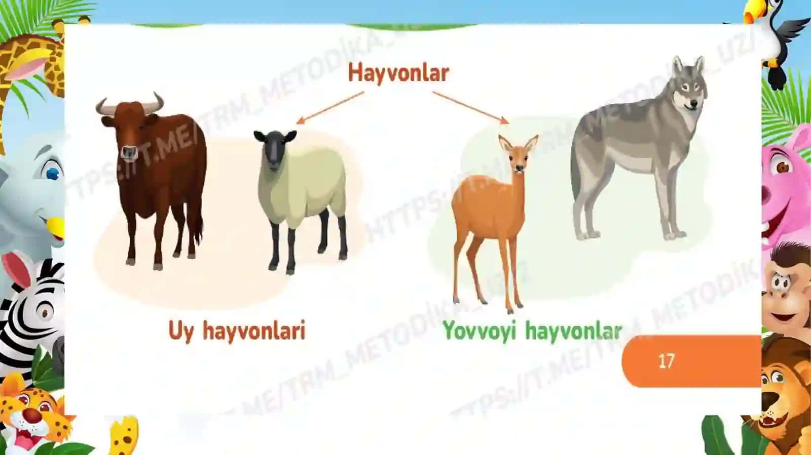HAYVONOT OLAMI 1-sinf 3