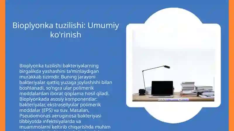 Bakteriyalarning bioplyonka  xosil qilishi va uning axamiyati 3