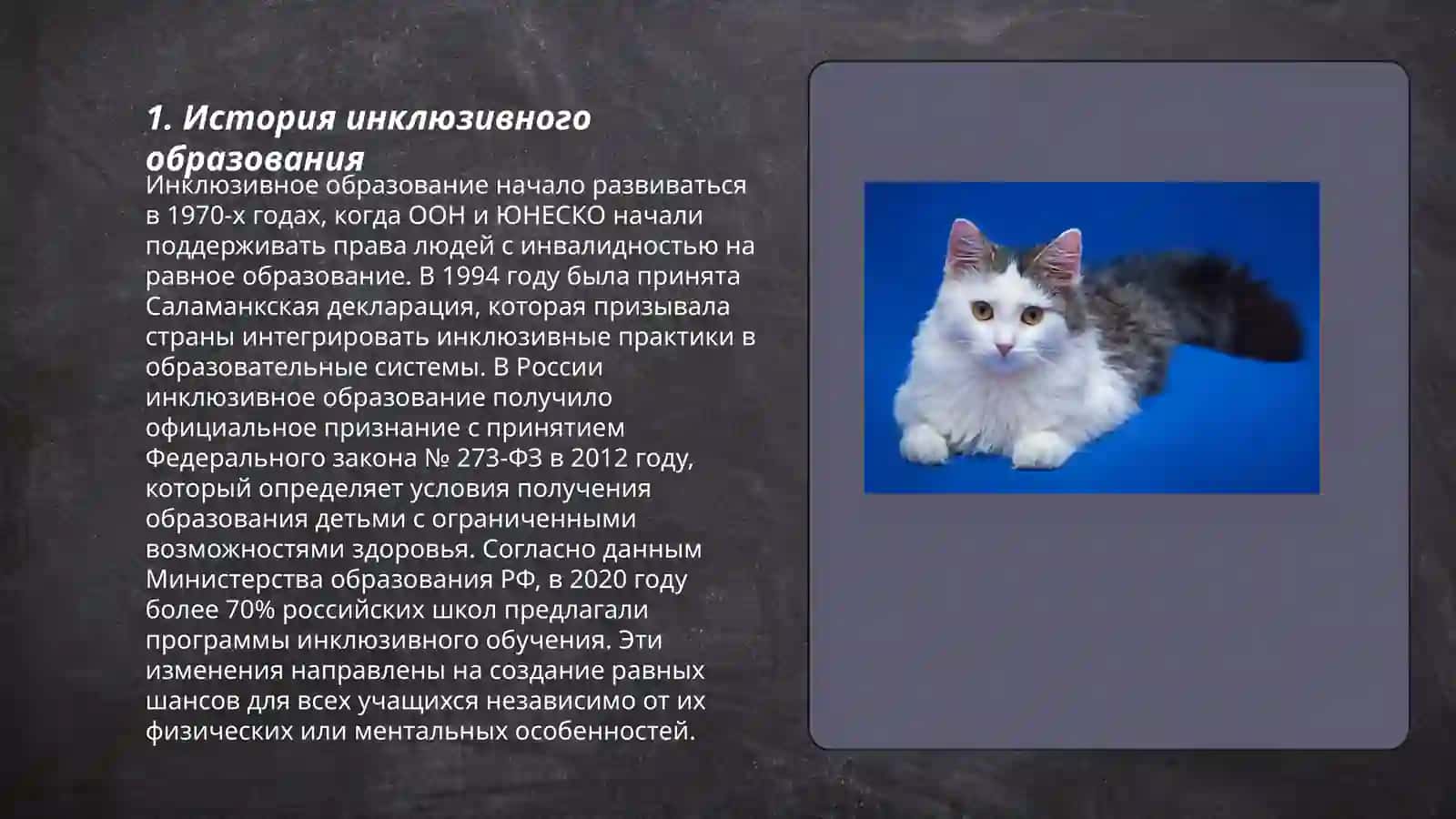 Этапы инклюзивного образования 3
