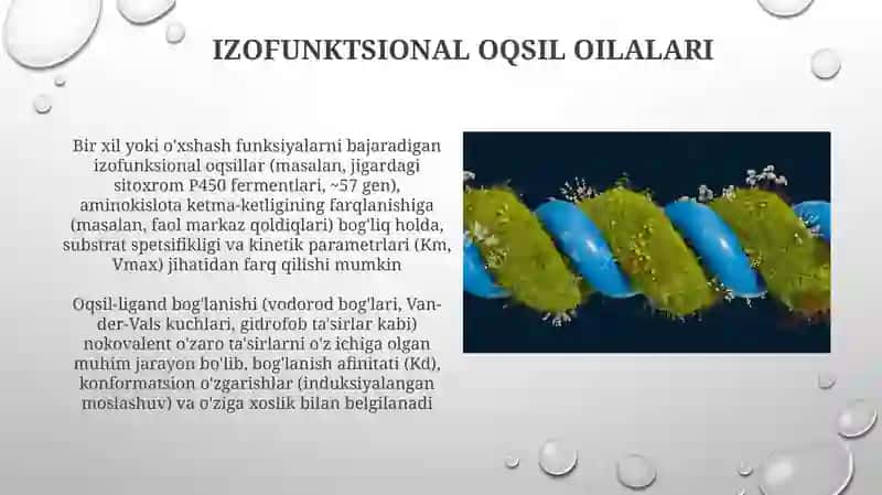 Izofunktsional oqsil oilalari 3