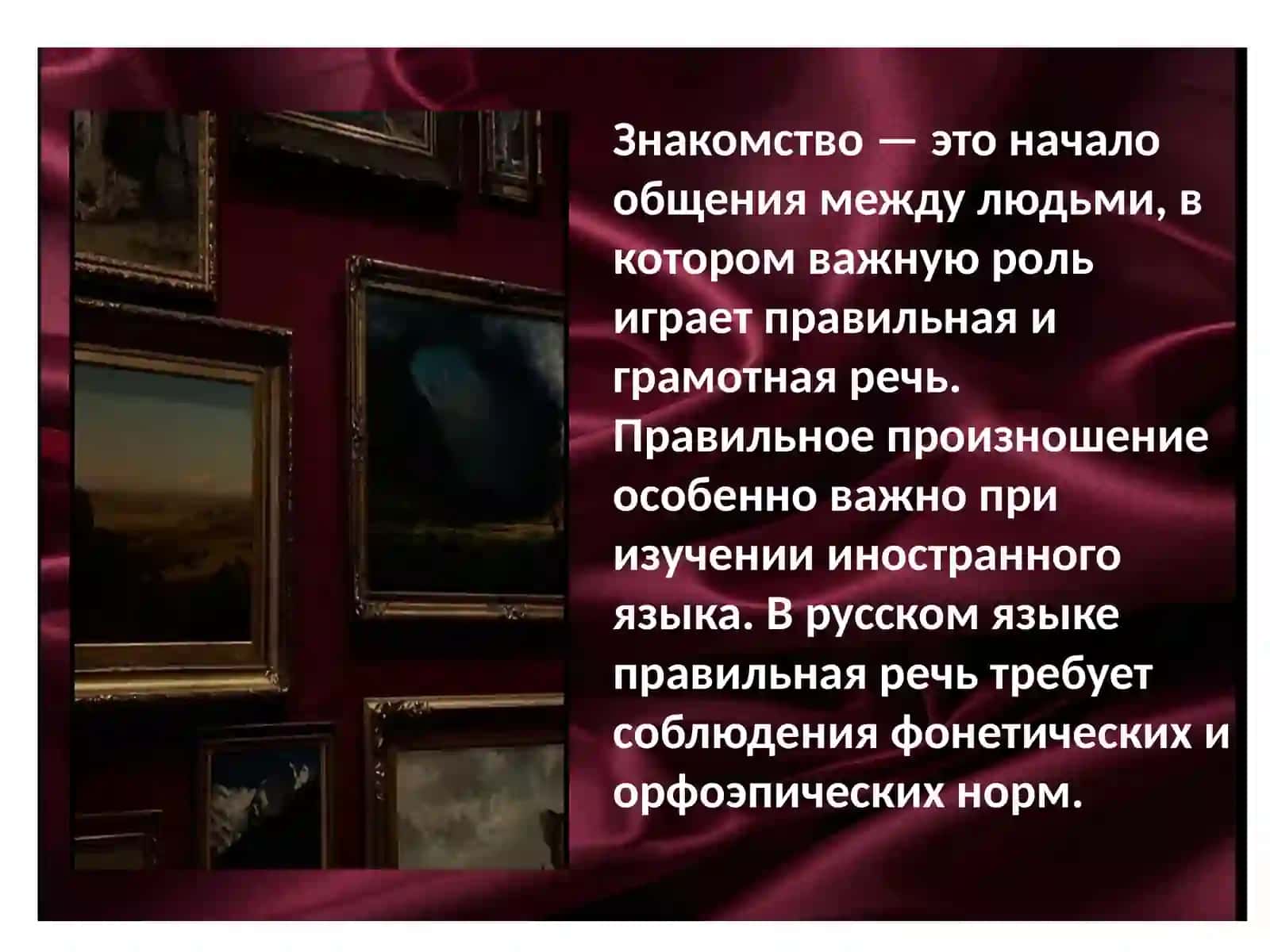 Знакомство. Фонетические и орфоэпические нормы русского языка 3