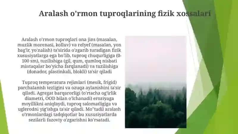 Aralash o'rmon tuproqlarining fizik xossalari 3