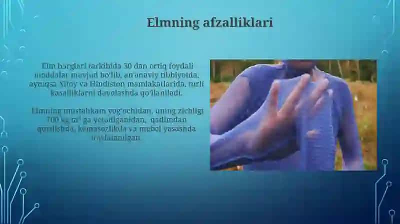 Elm loyihalari 3