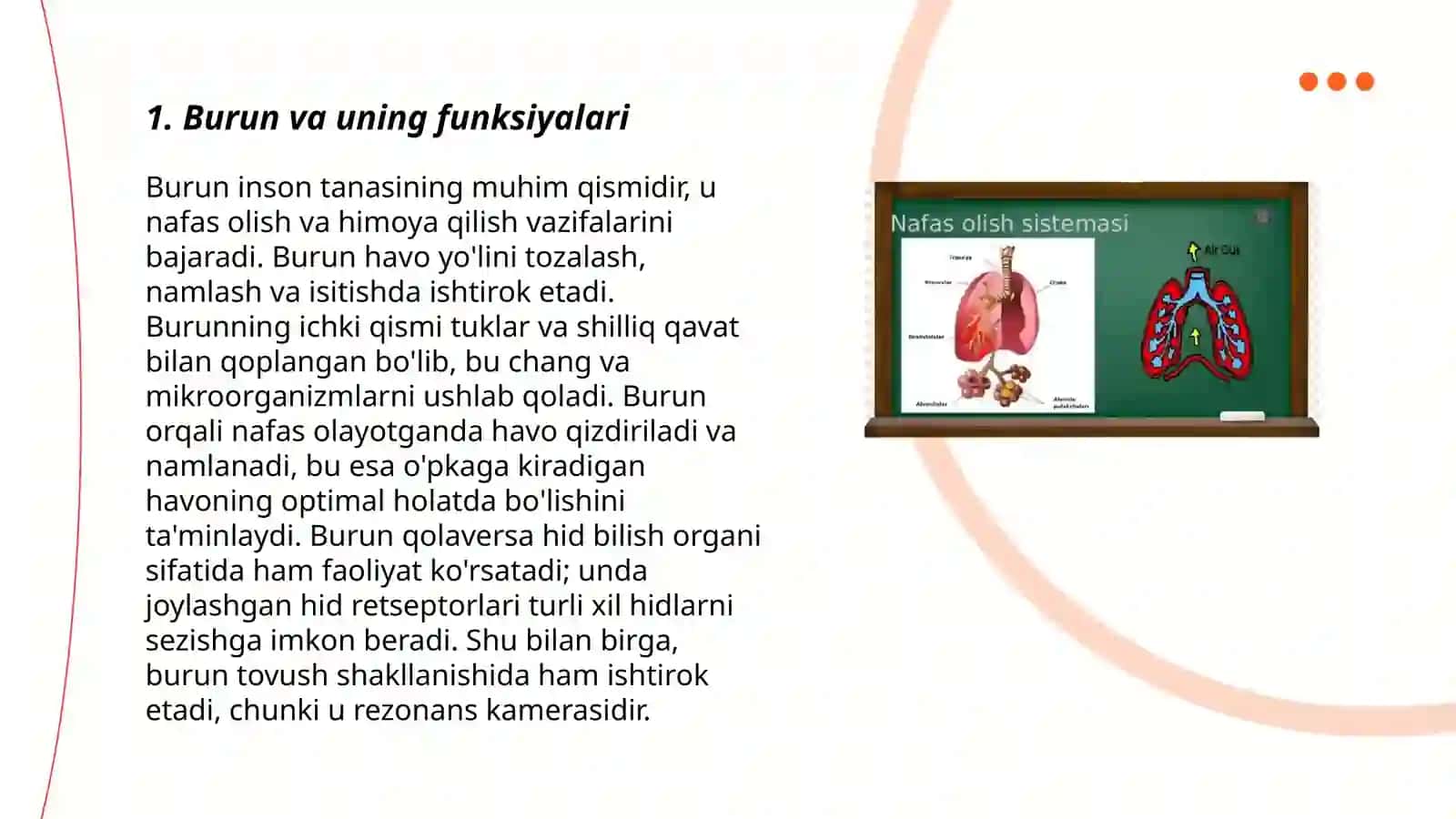 Burun va uning funksiyalari 3