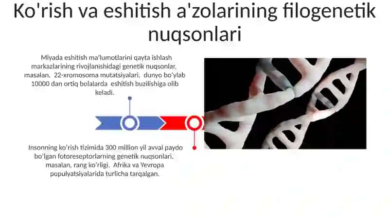 Odamlarda rivojlanishning filogenetik nuqsonlari 3