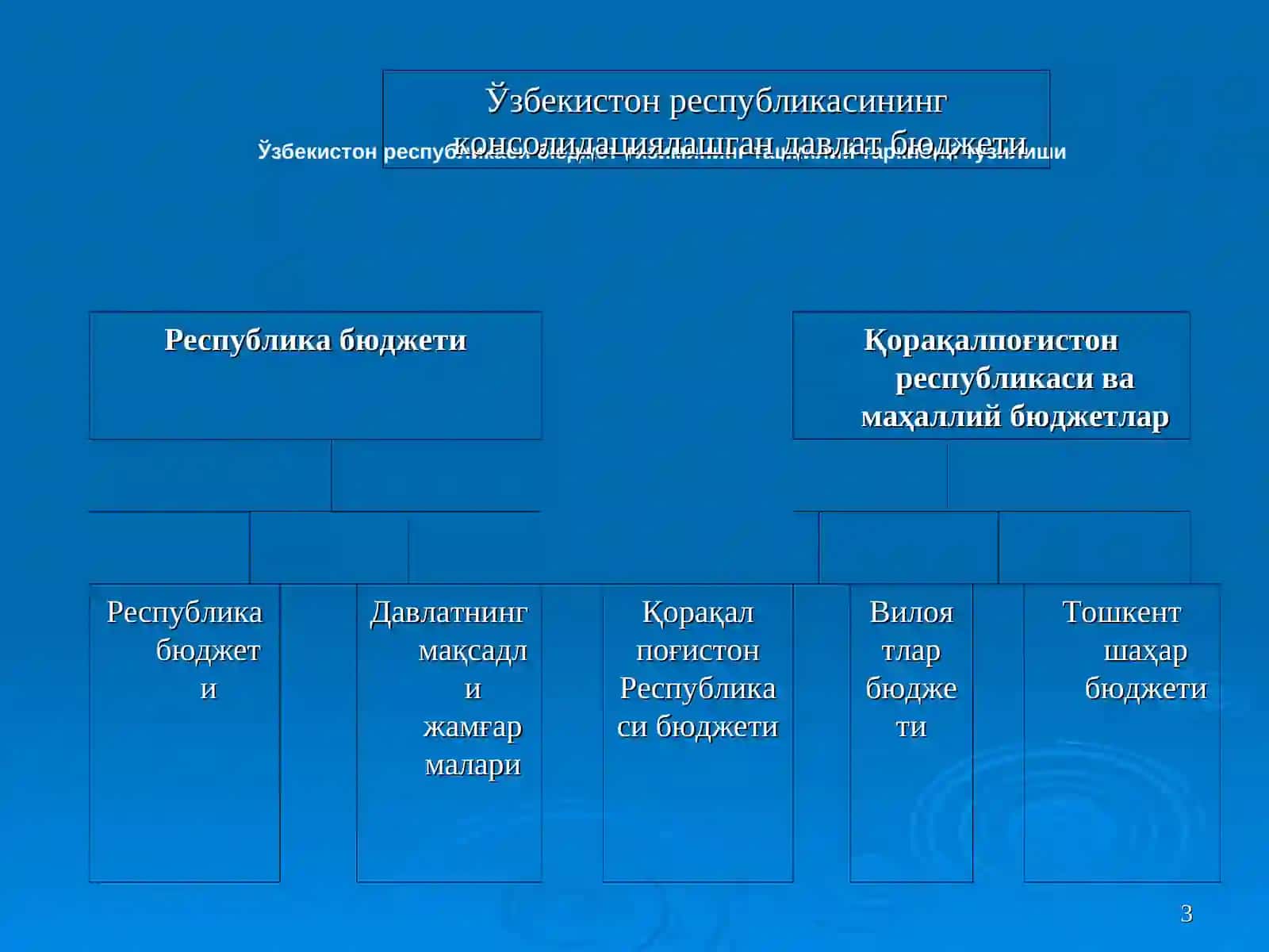 Давлат бюджети ва унинг ижтимоий-иқтисодий аҳамияти 3