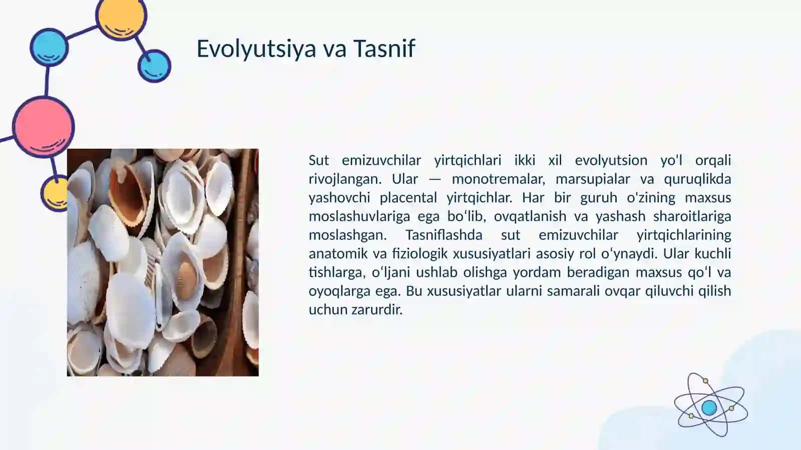 Sut emizuvchi yirtqichlar 3