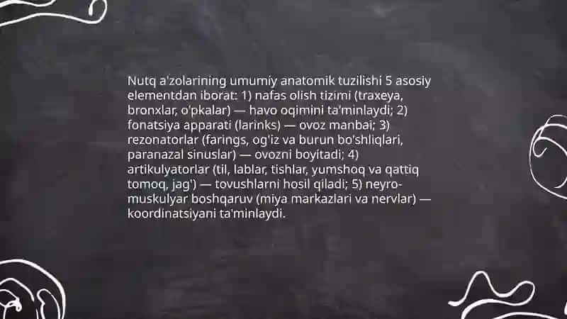 Nutq a’zolarining anatomiyasi vafiziologiyasi 3