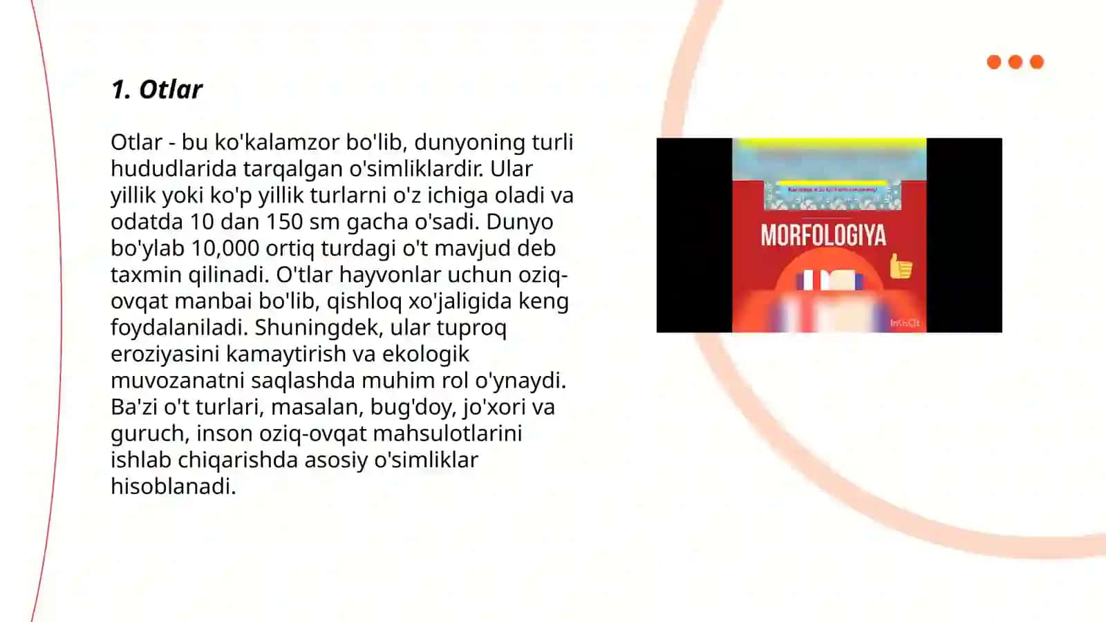 Morfologiya.Mustaqil so'zlar 3