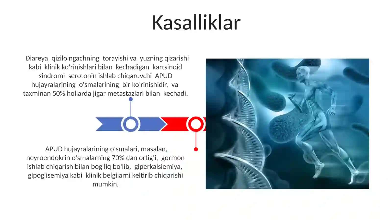 Diffuz endokrin tizim. APUD tizimning hujayralari 3
