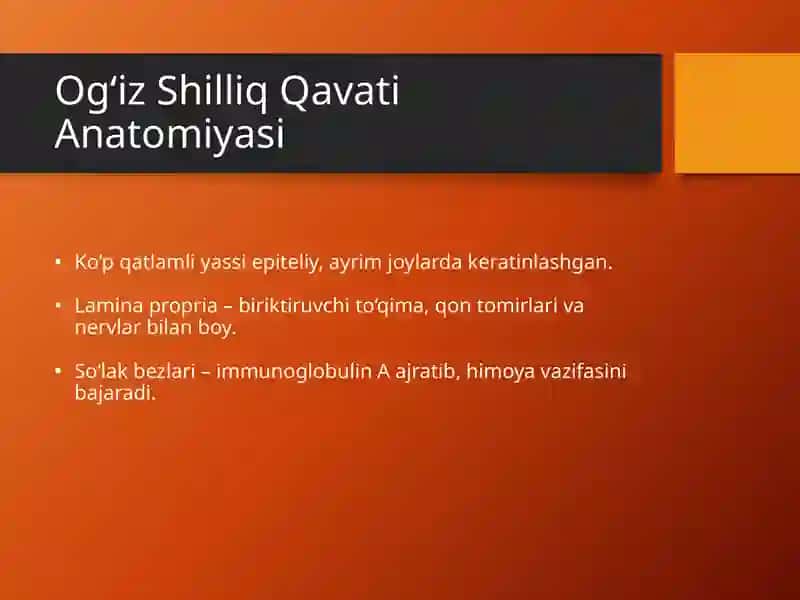 Tish va Og‘iz Bo‘shlig‘i Shilliq Qavati, Parodont Kasalliklari 3