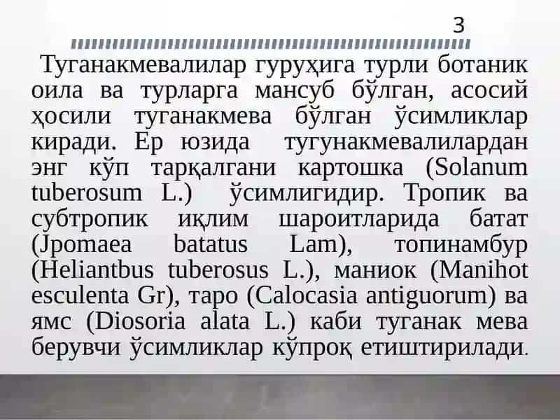 Тугунакмева ва картошка 3